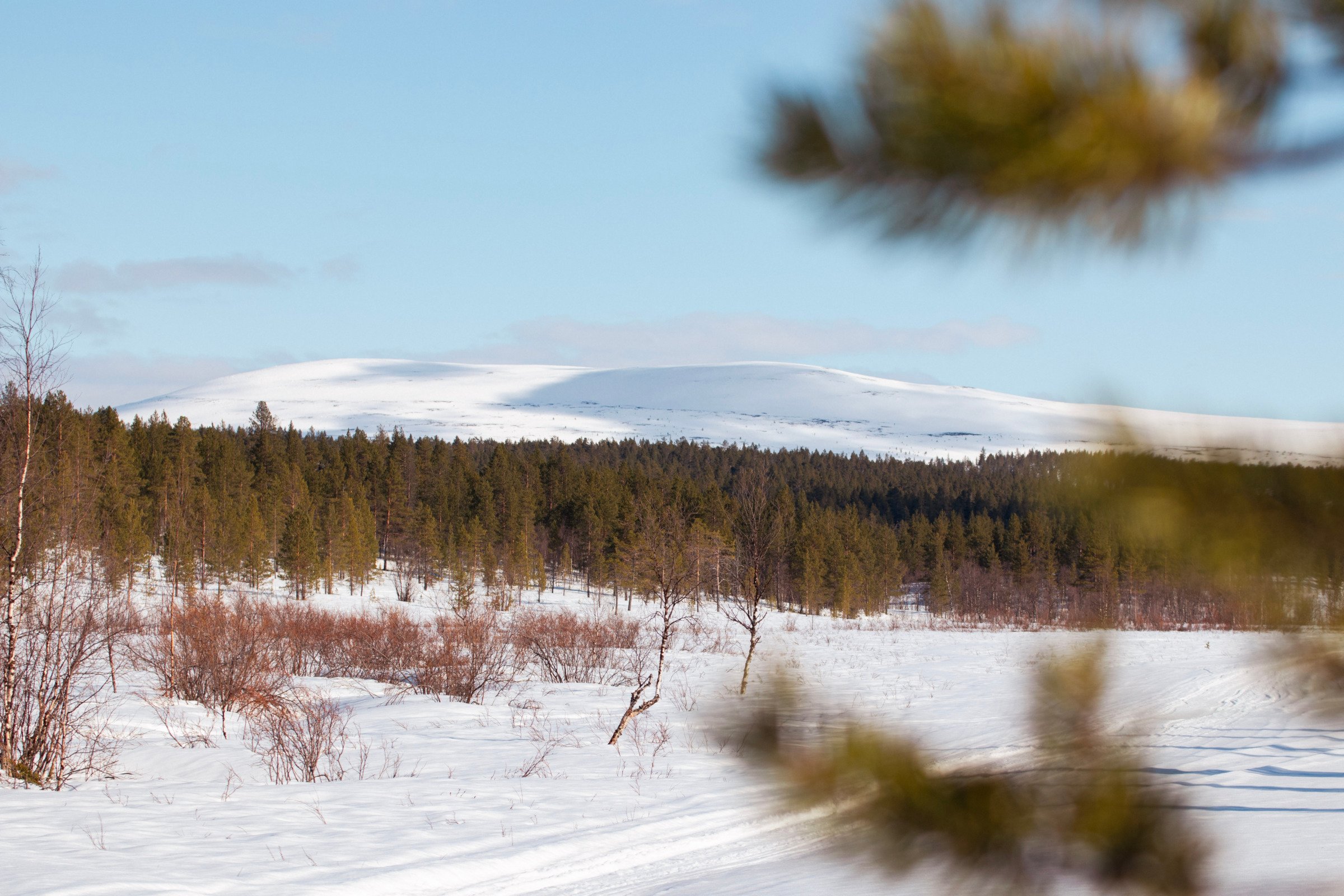 Pyhäkero - Kuva: Jani Wathén